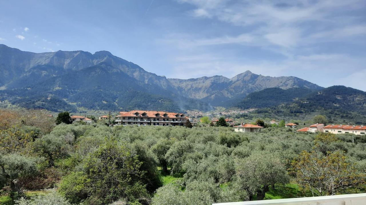 Studios Rania Skala Potamia  Exterior foto